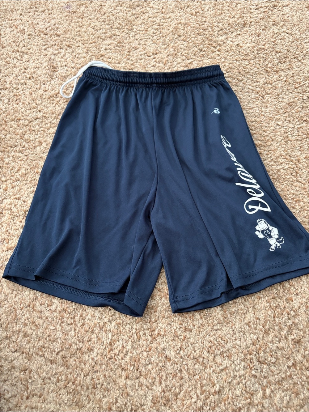 Unisex Kids Navy Athletic Shorts with Delaware Script